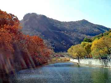 新澳天天开奖资料大全旅游团，迷糊仙女闯江湖